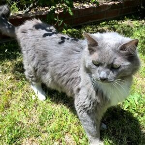 Meet your Posher, Takuya